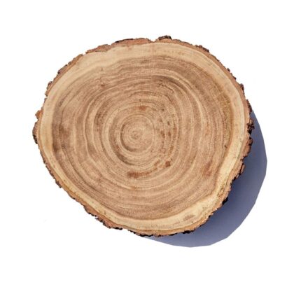 Braysons Big Barker Live Edge Acacia Wooden Butcher Block(10-11 in) - Chopping Cutting Board